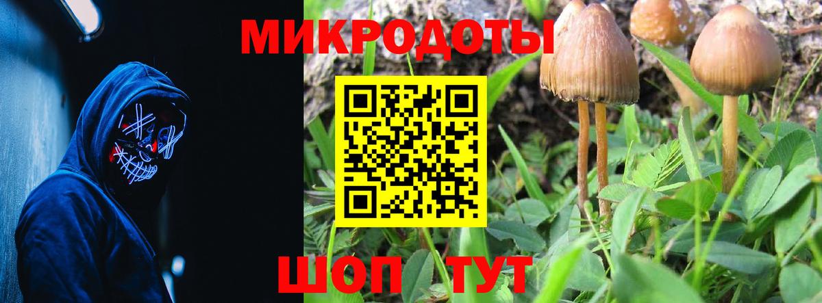 Мичуринск  Галлюциногенные грибы Cubensis  Вход с VPN 